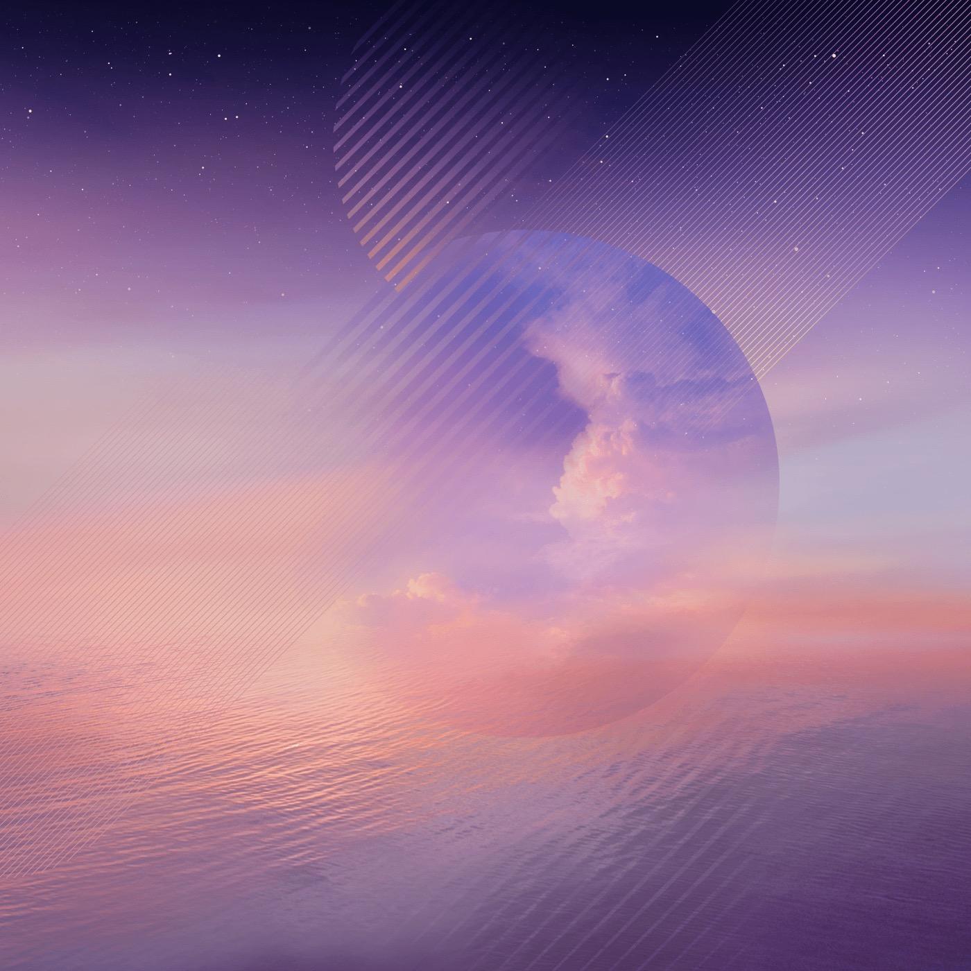 Skari