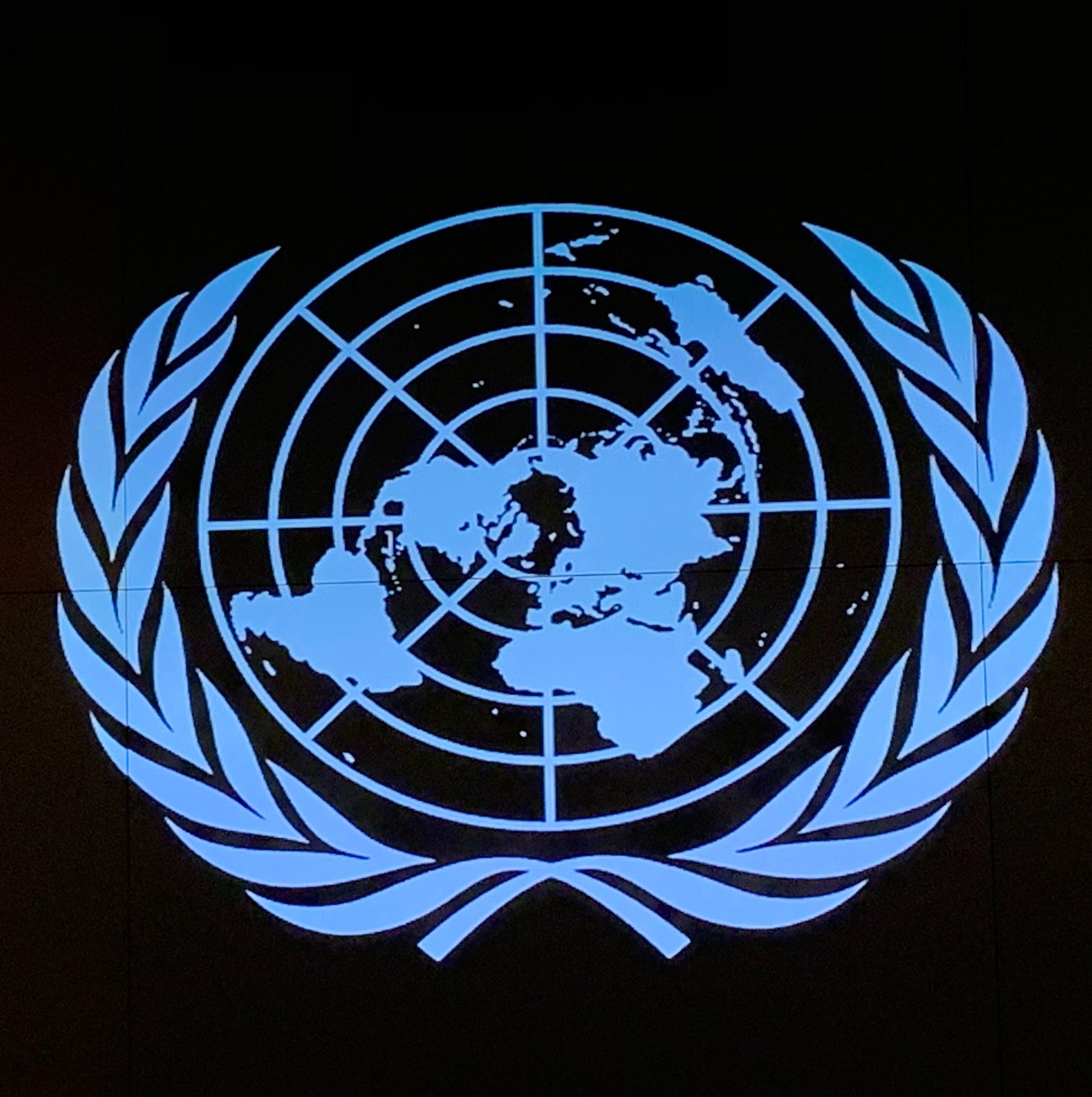 The UN Brief
