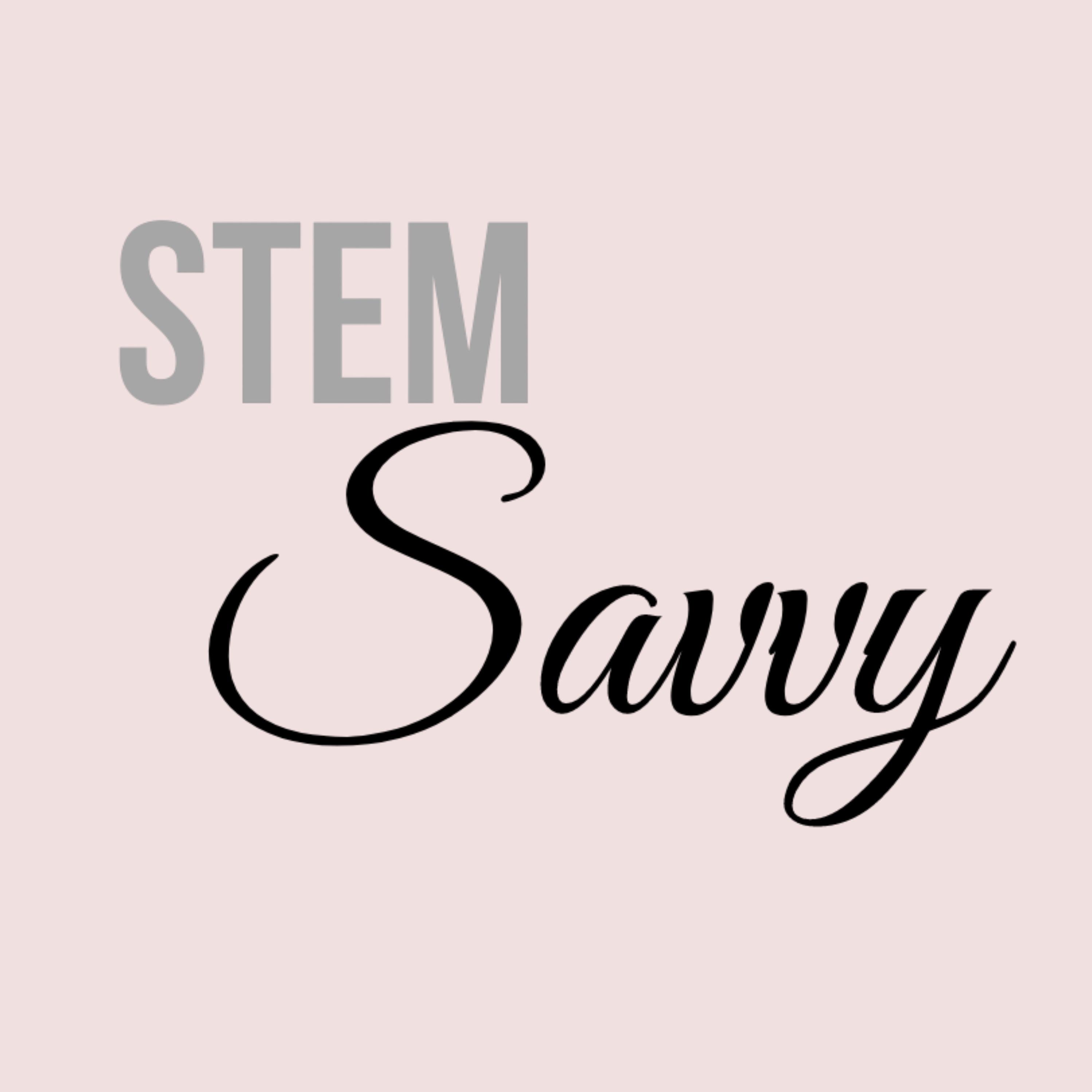 STEM Savvy Mentor