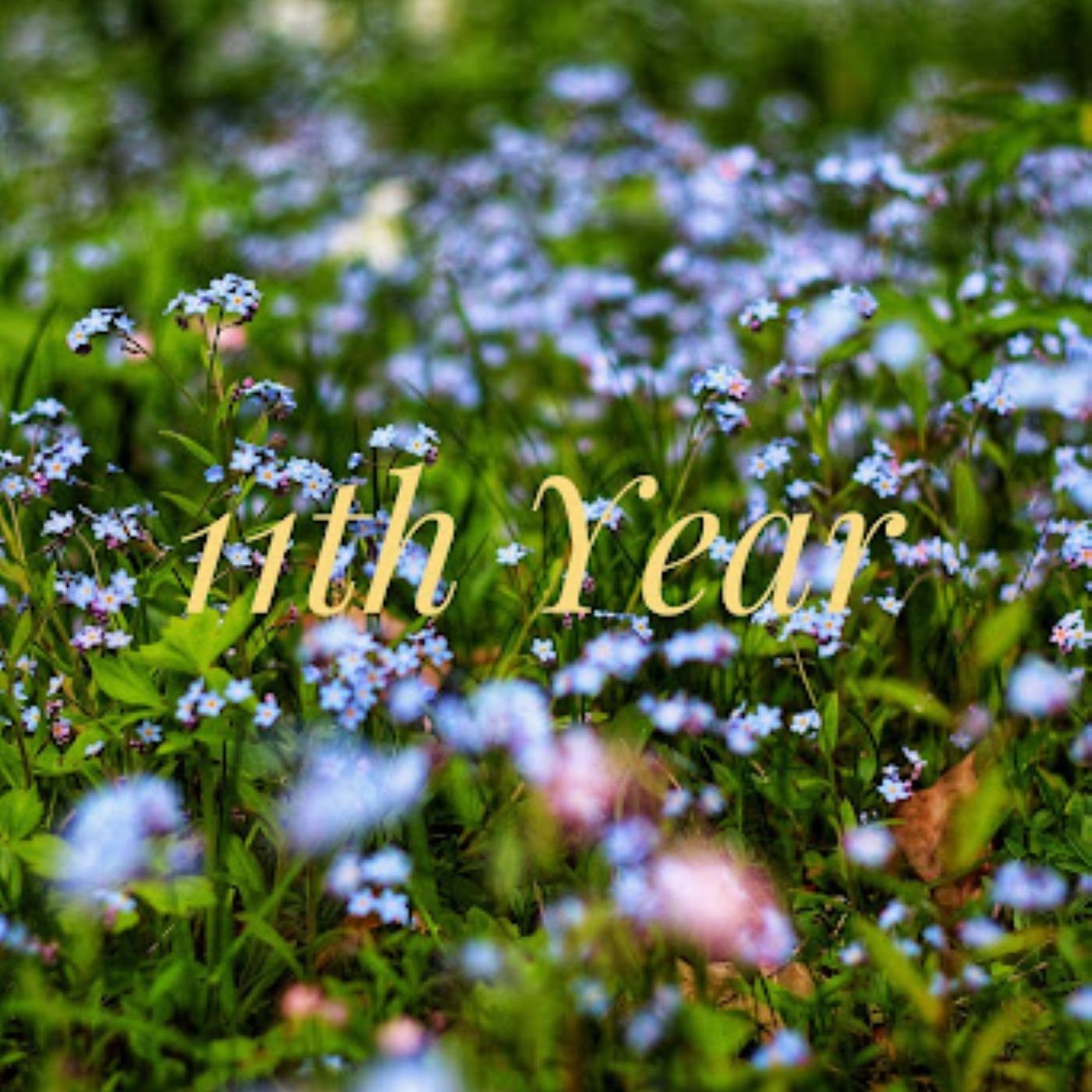 The 11th Year Podcast