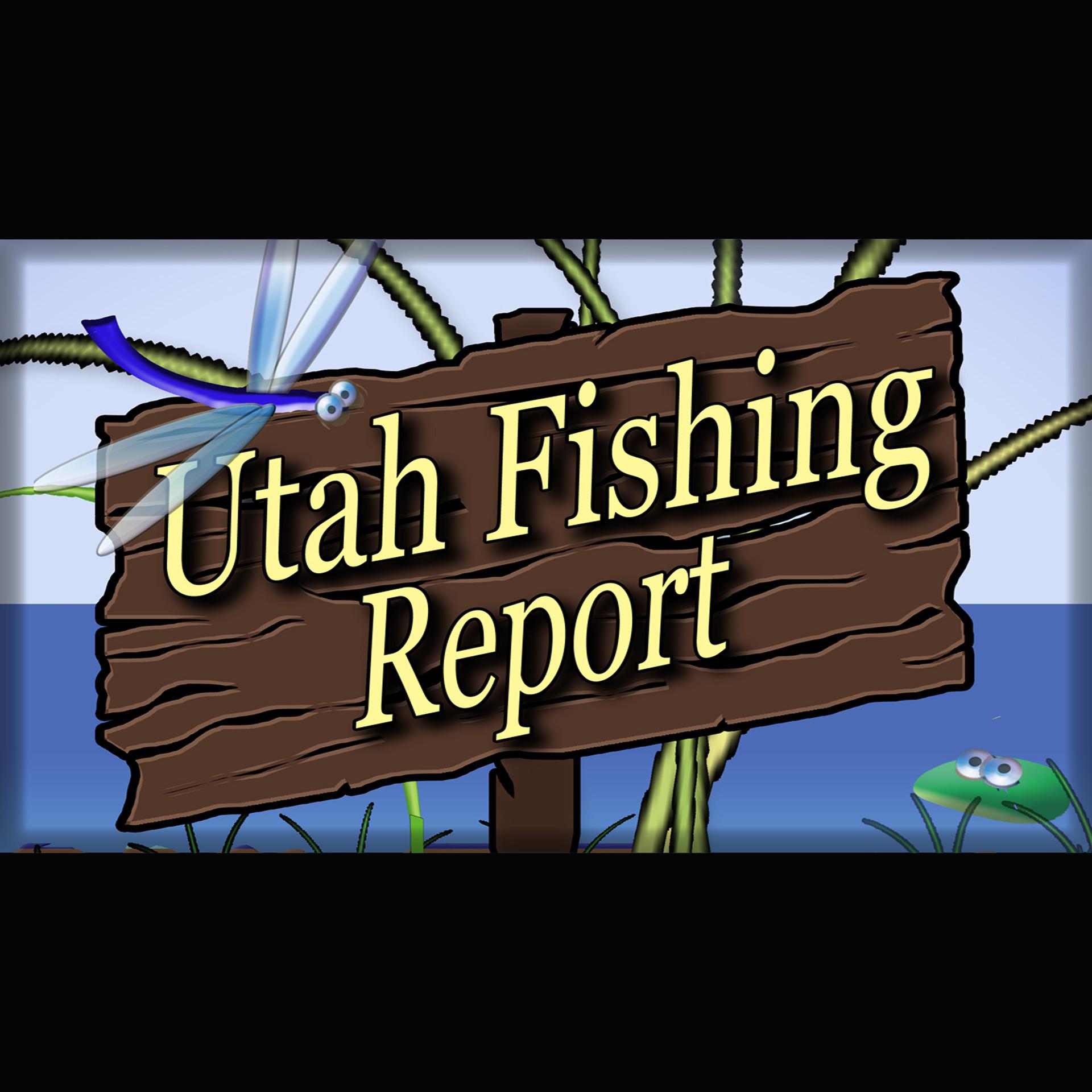 Utah Fishing Report