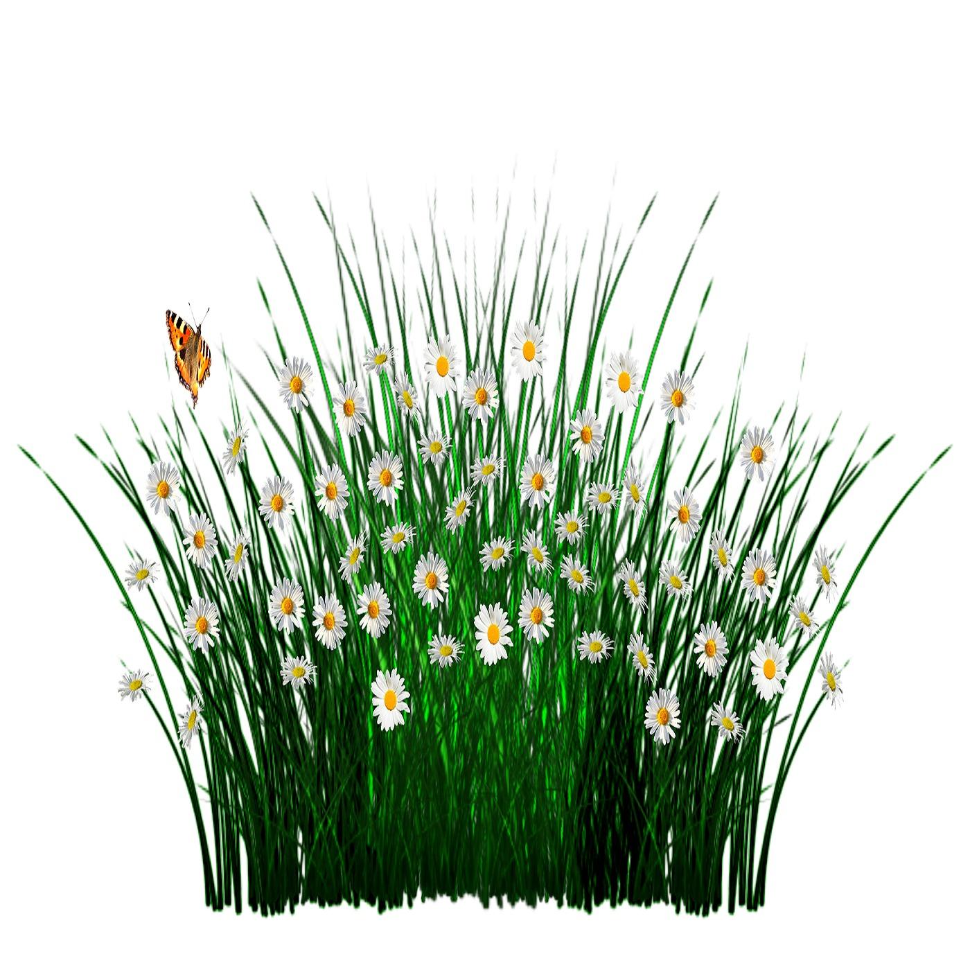 Floral Arrangement