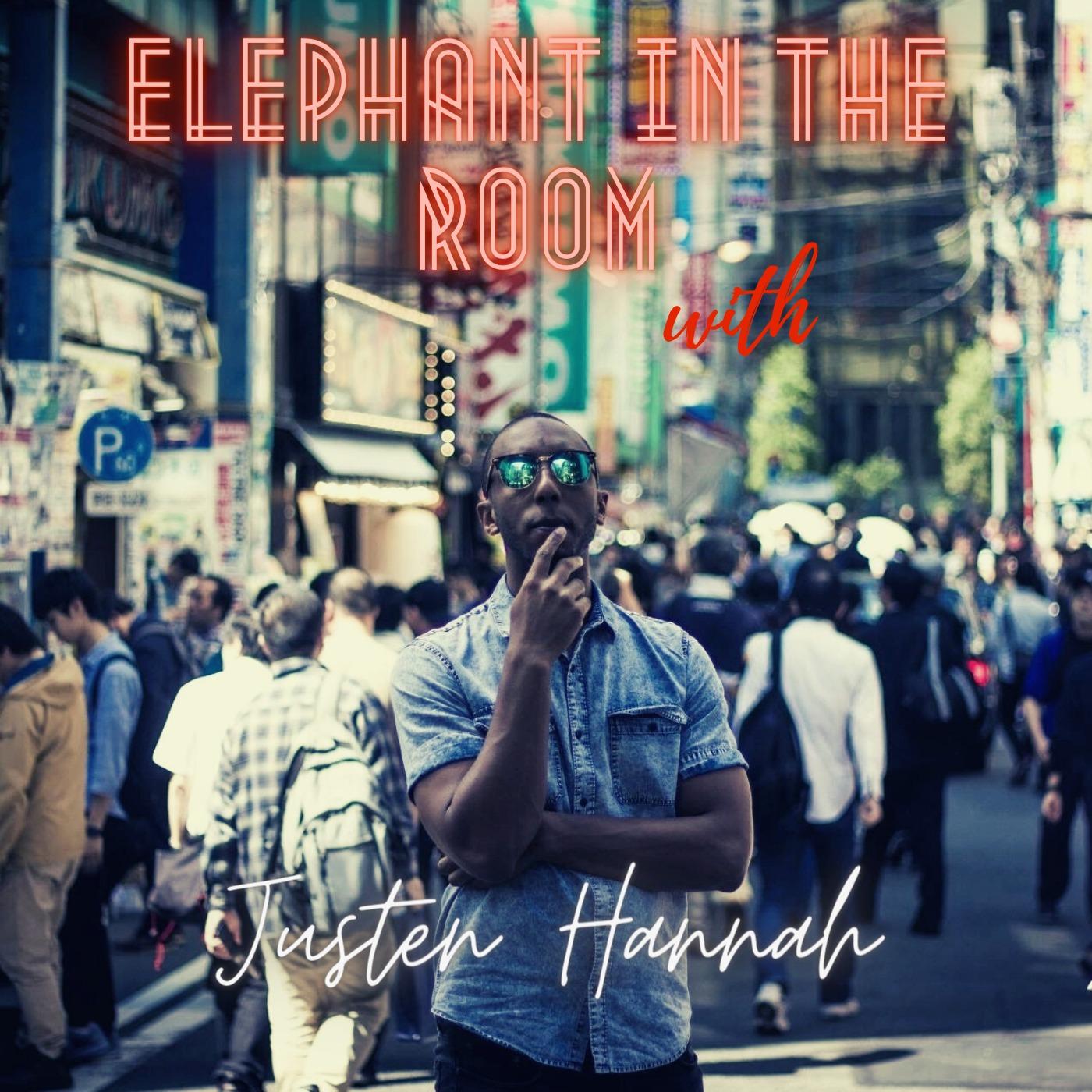 Justen Hannah Elephant in the Room