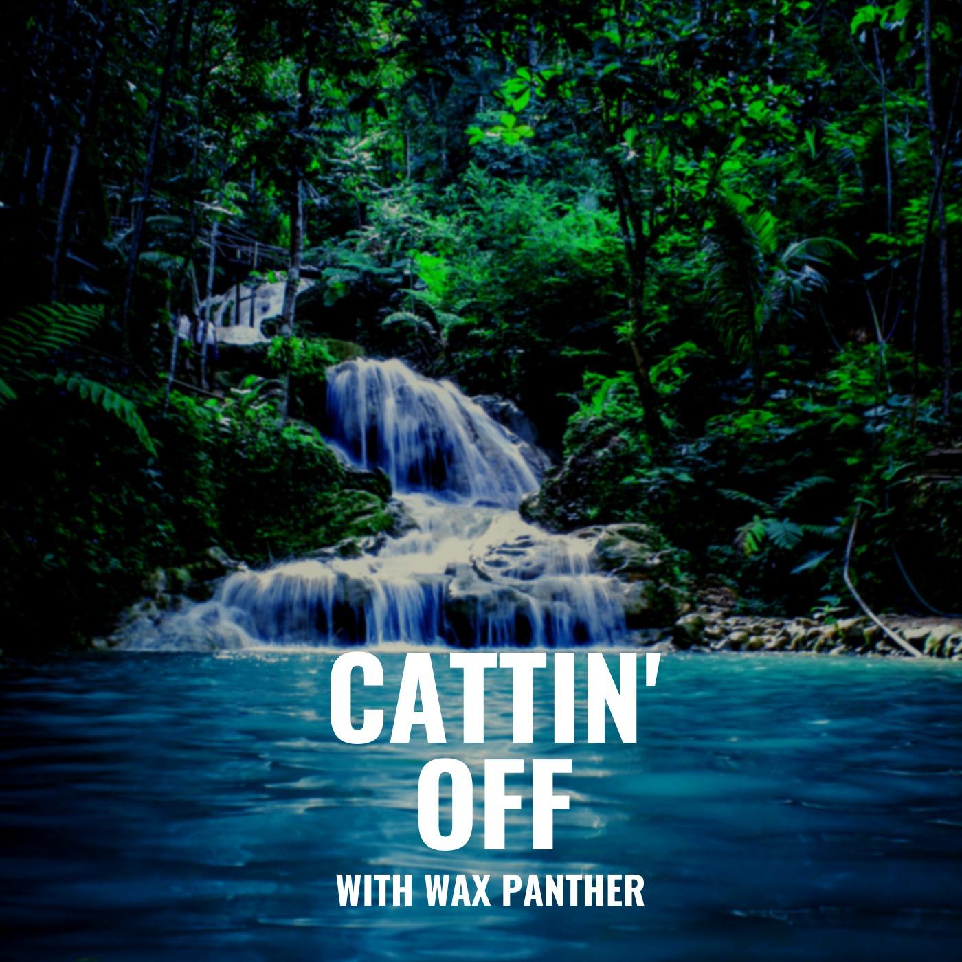 Cattin' off