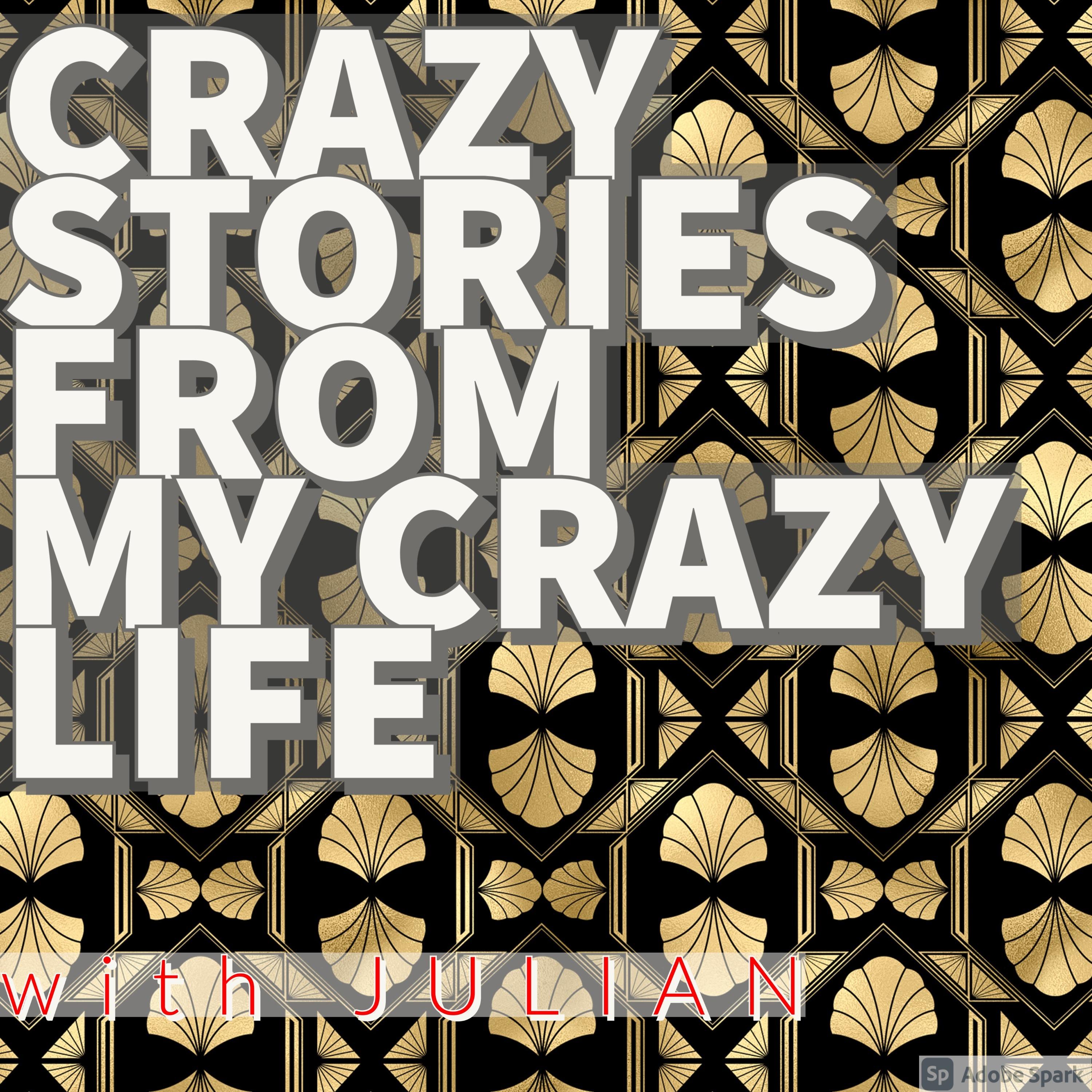 Crazy Stories From My Crazy Life
