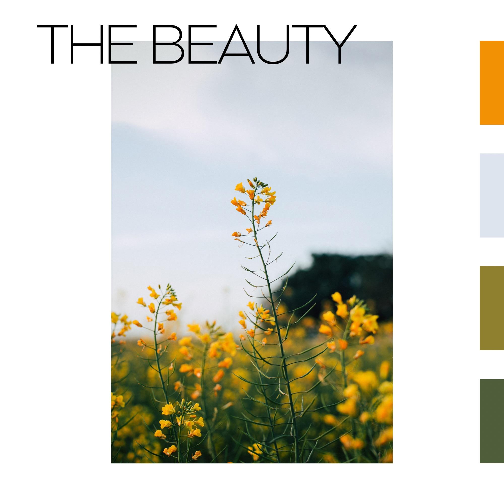 The Beauty: Christian Song Commentary