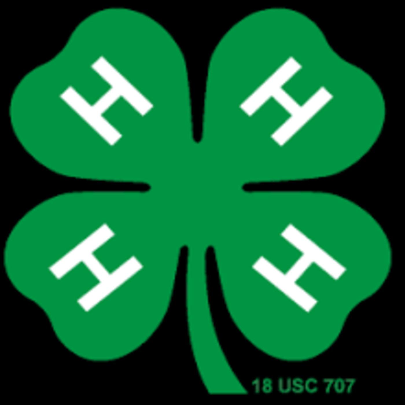 Cats and Clovers