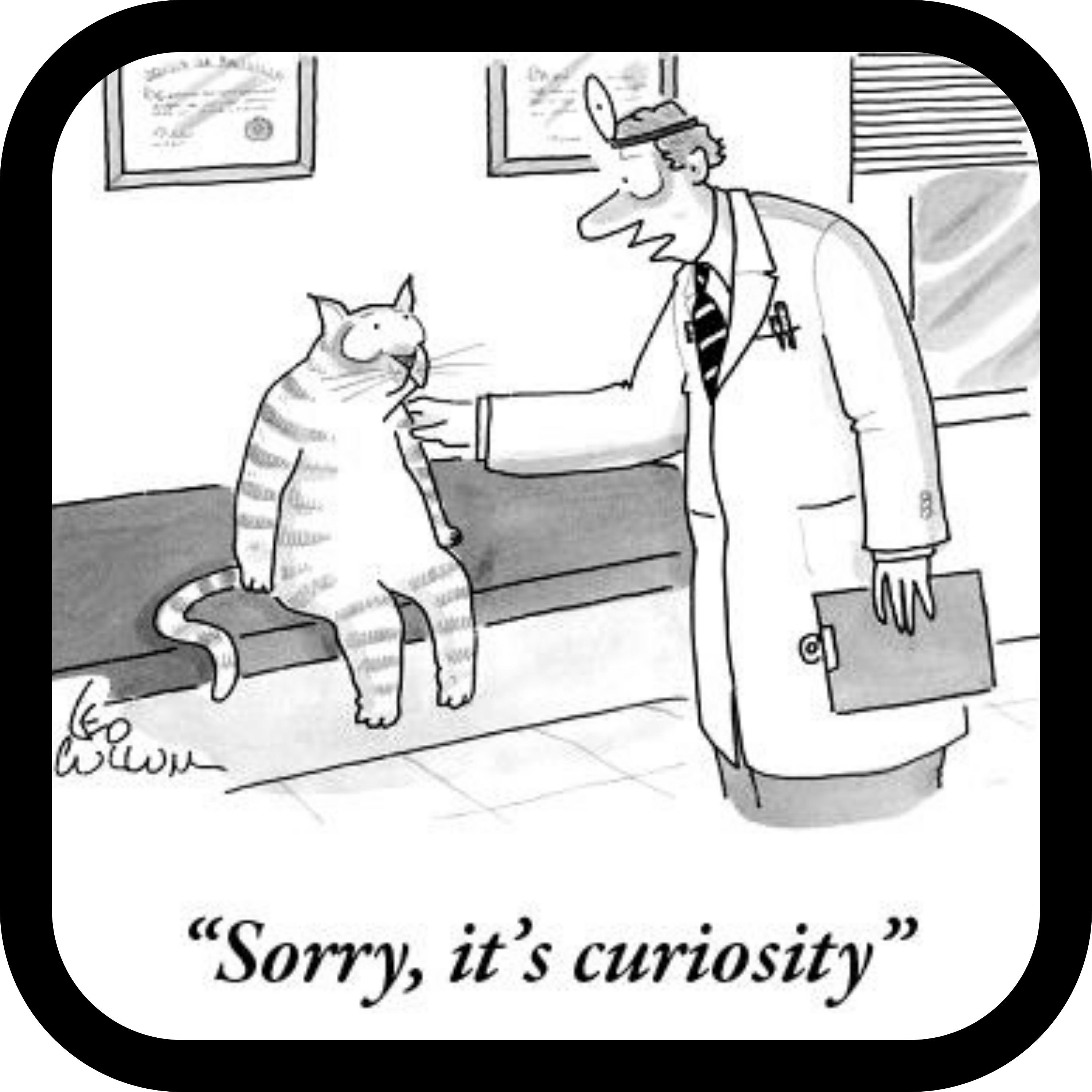 Curiosity Killed The Cat