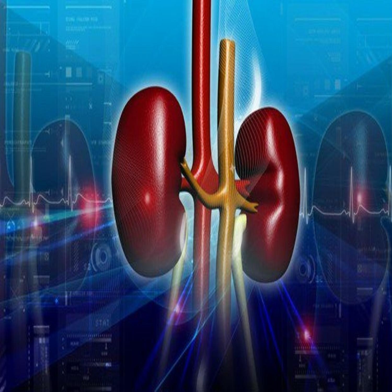What Exactly Is The Diet For Kidney Failure?