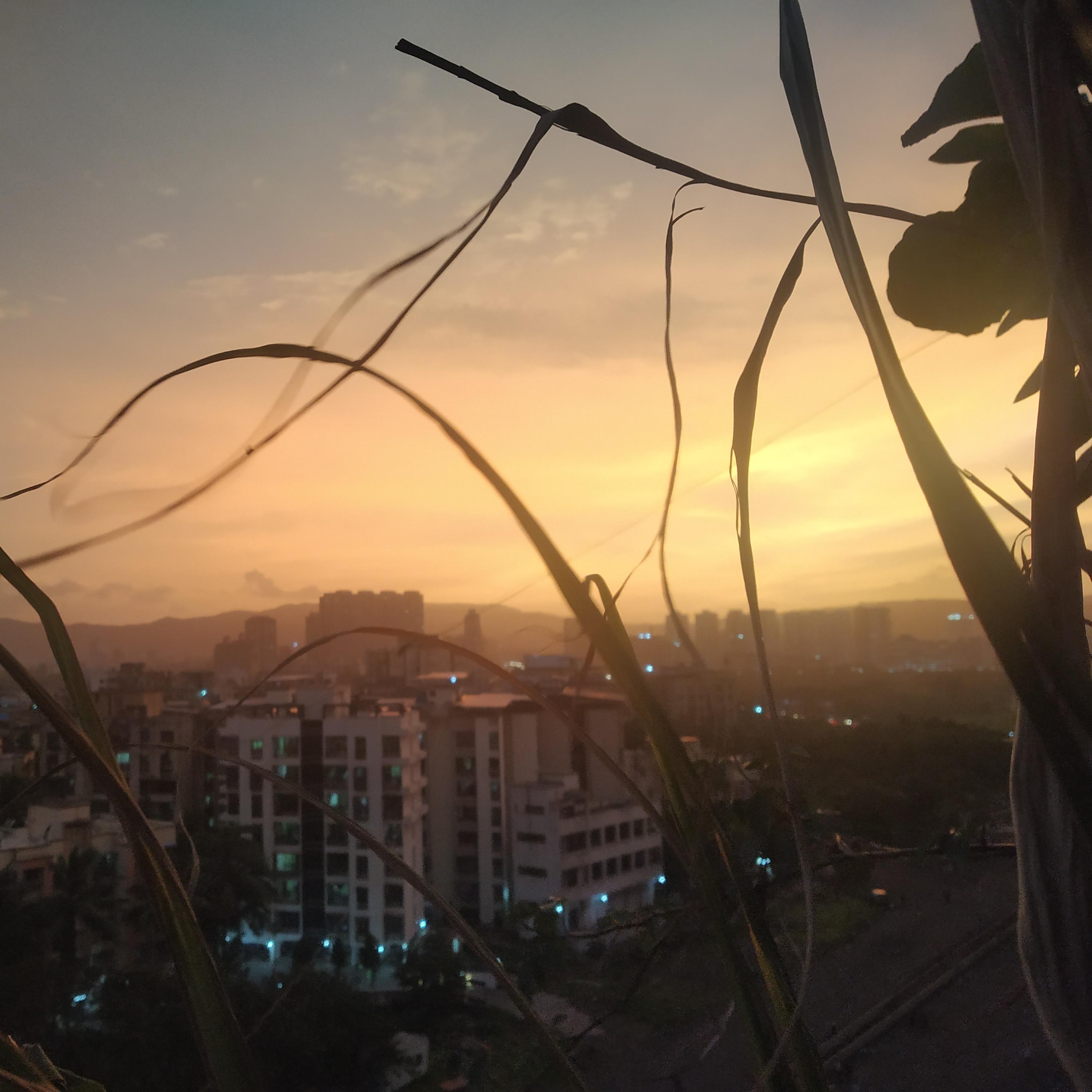 Undestined Traveller
