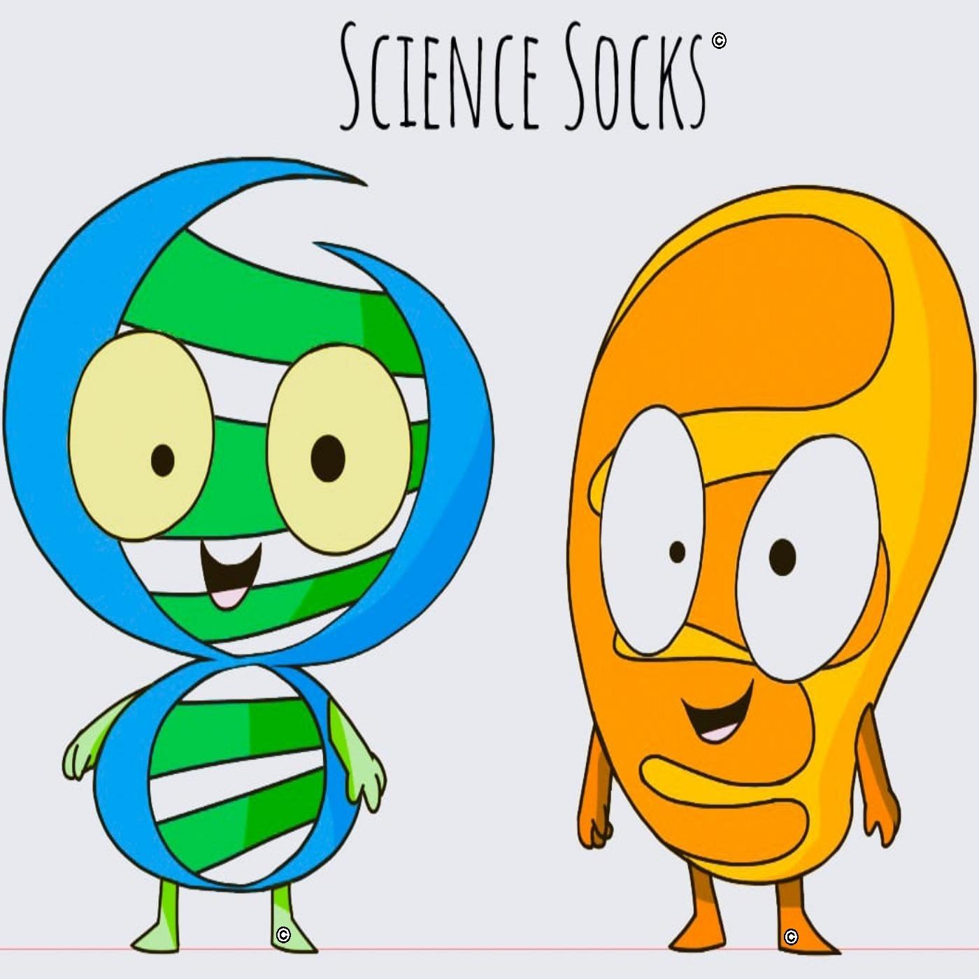 DNA
