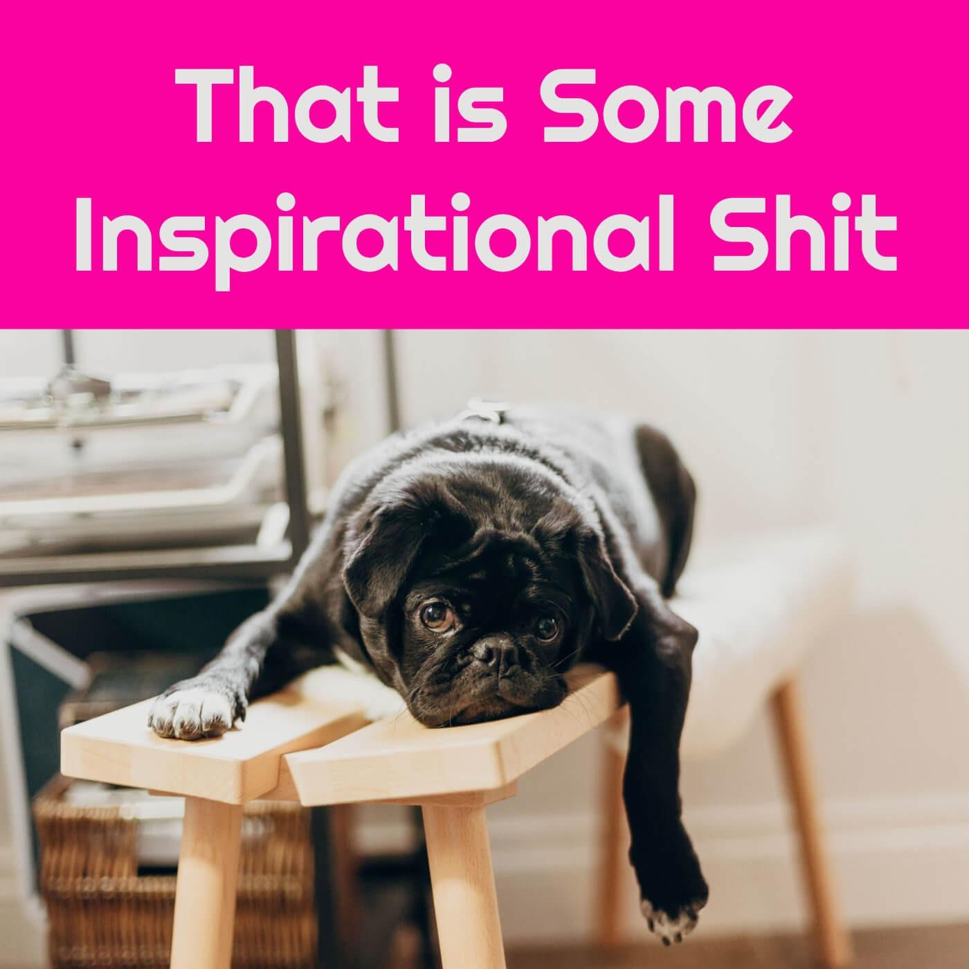 That Is Some Inspirational Shit