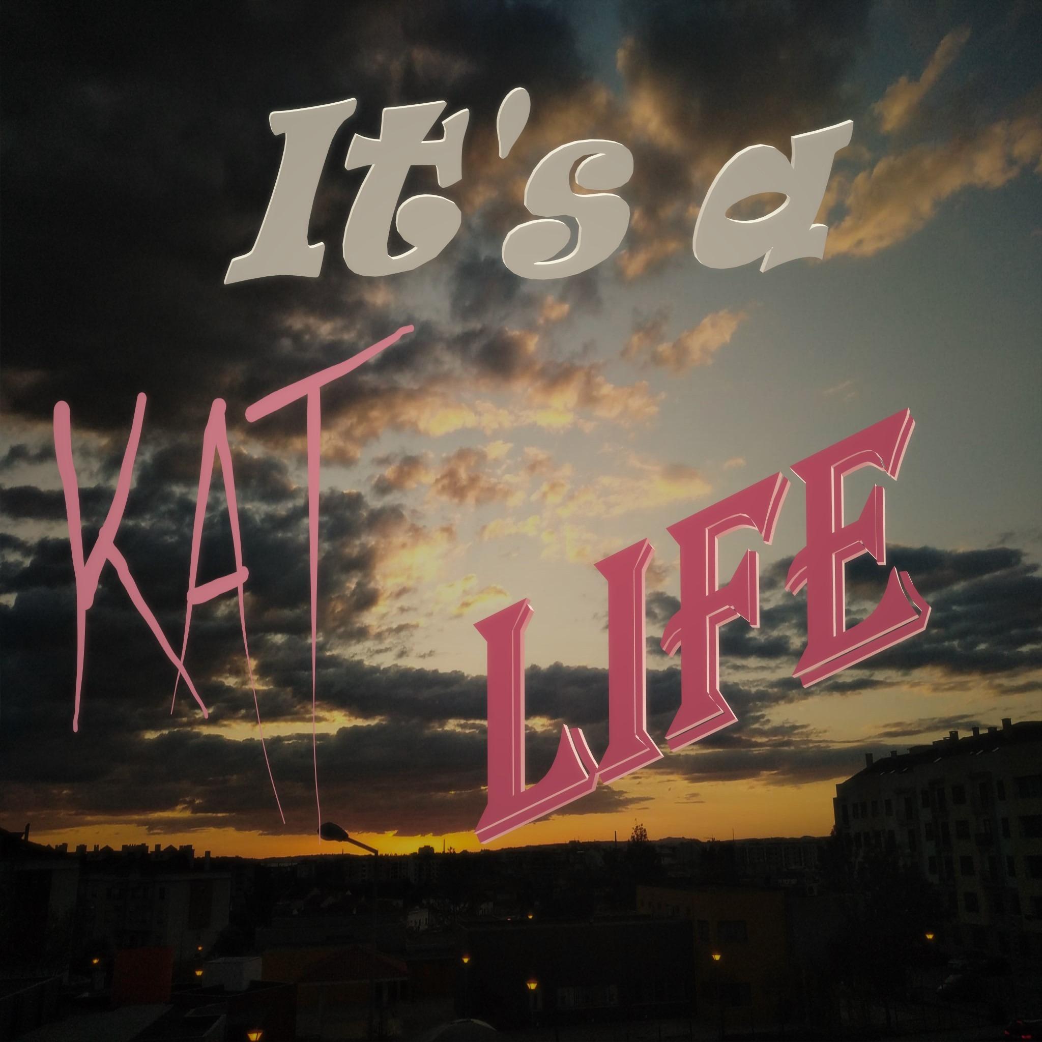 It's a Kat Life