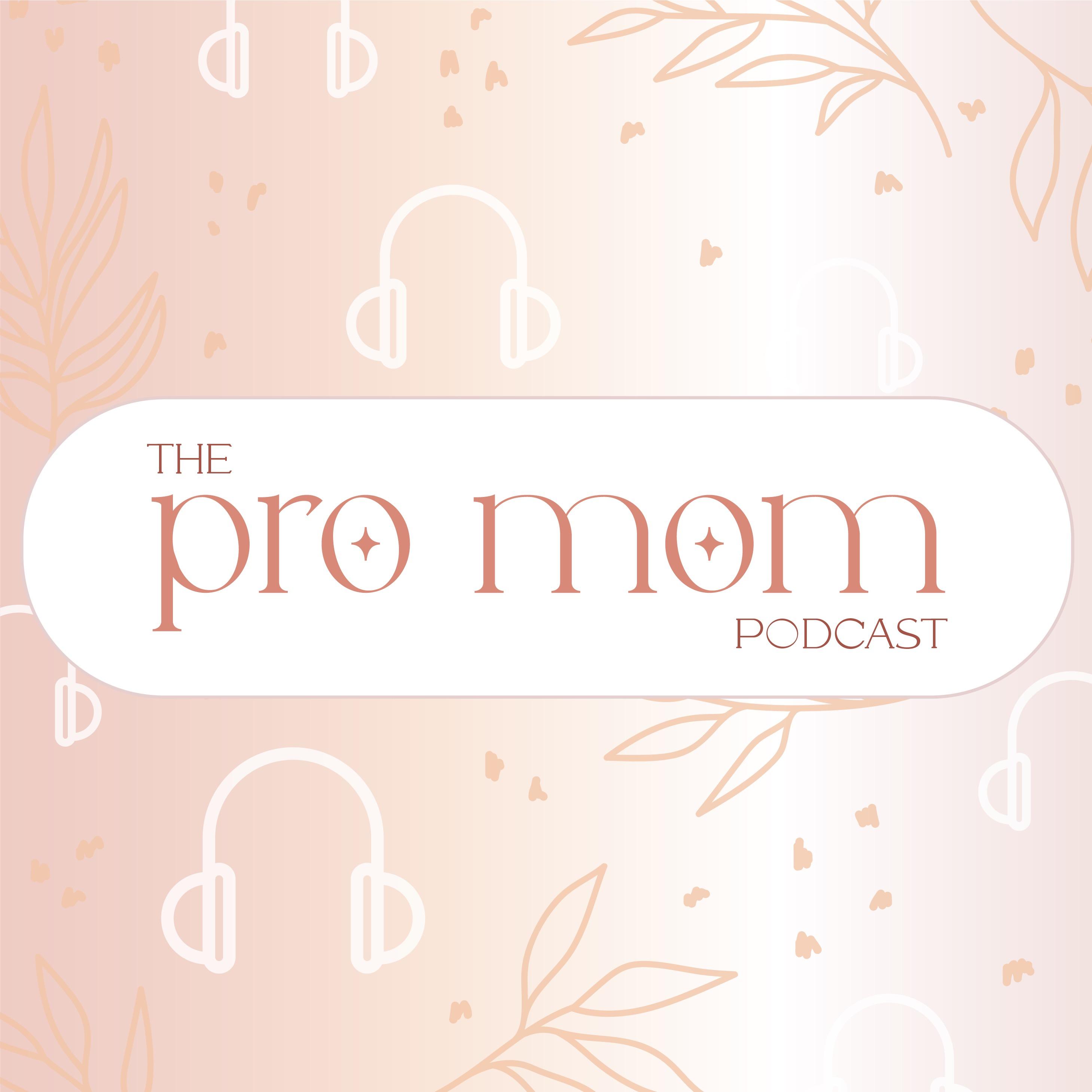 The Pro Mom Podcast