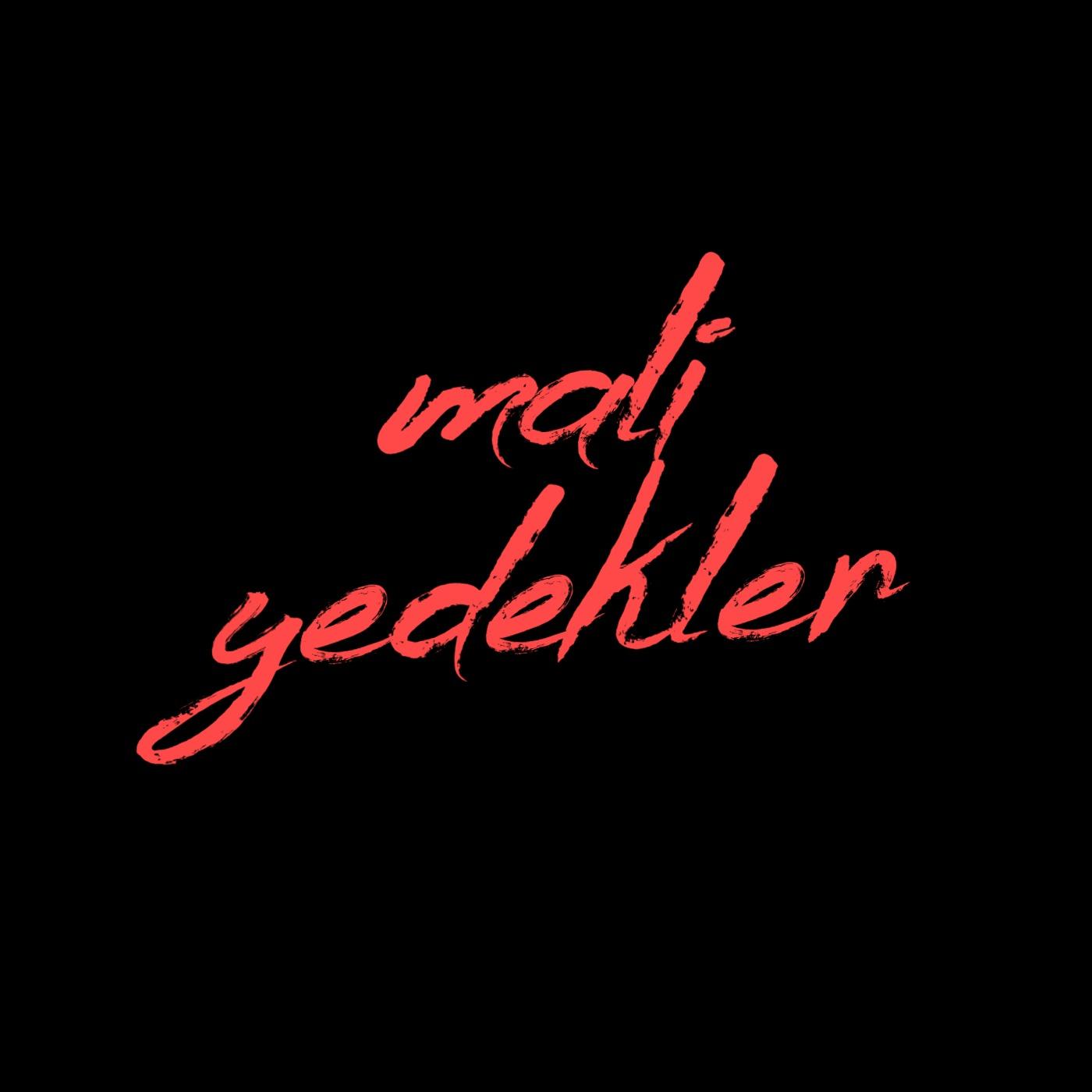 mali yedekler
