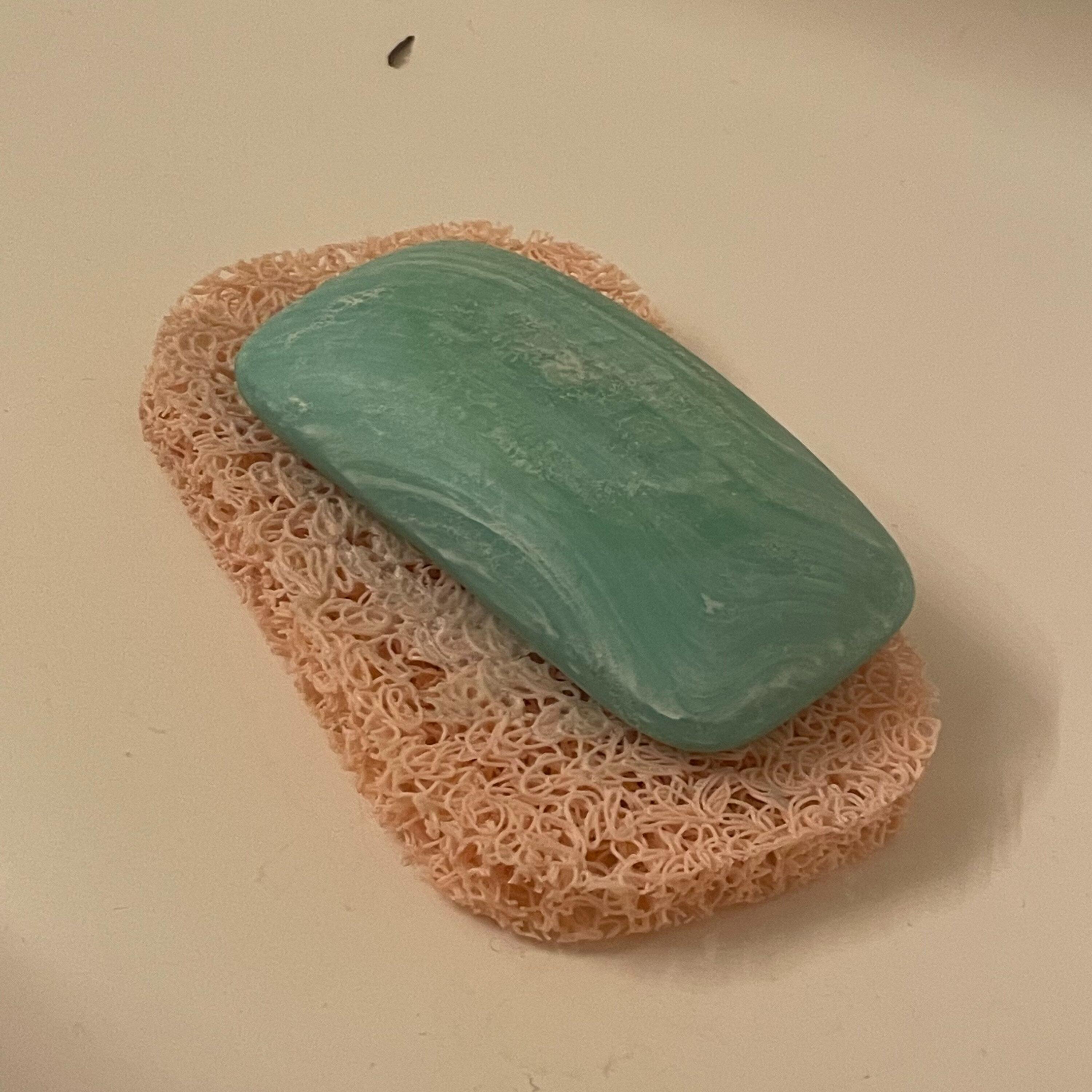 The Soap-Dish