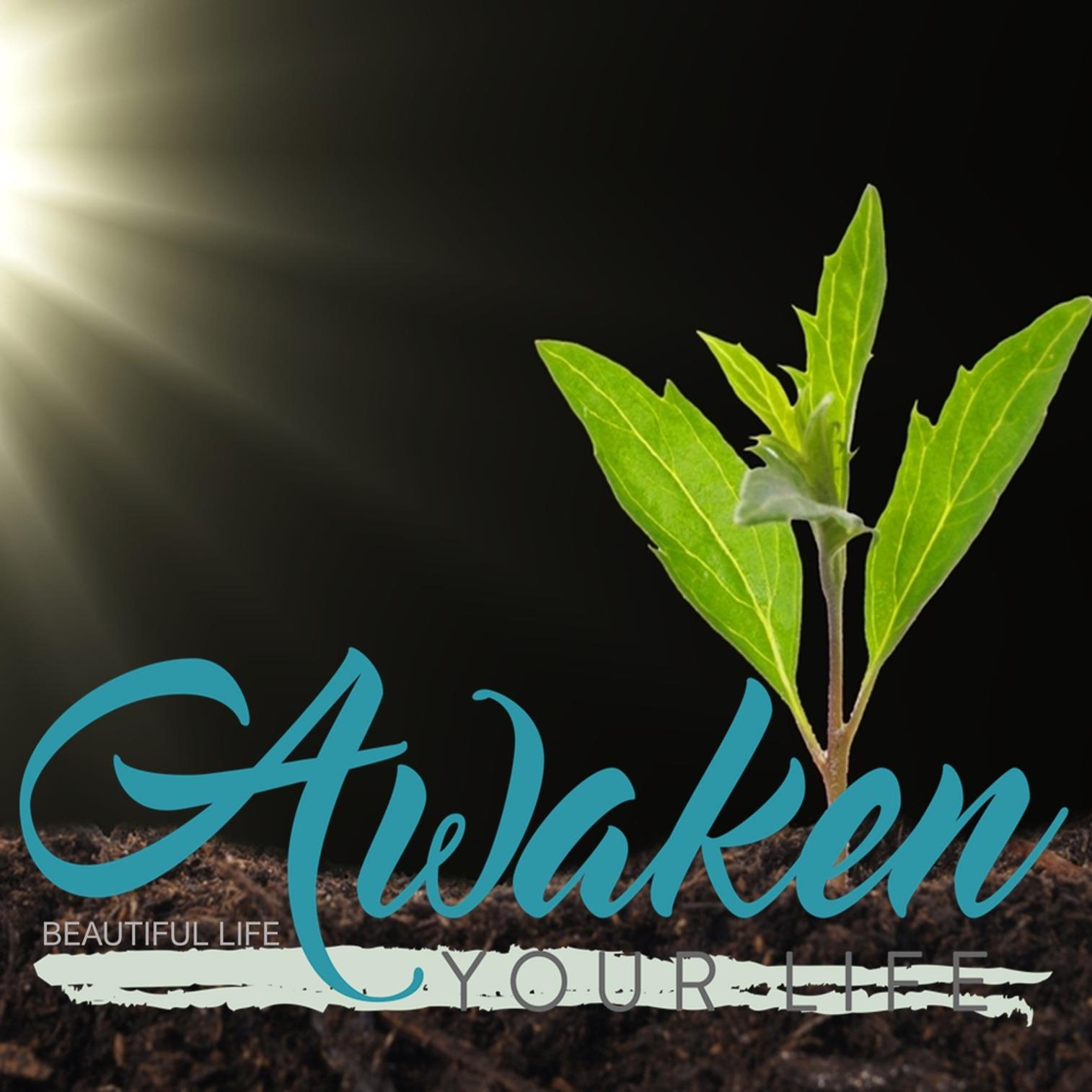 Life Awakener