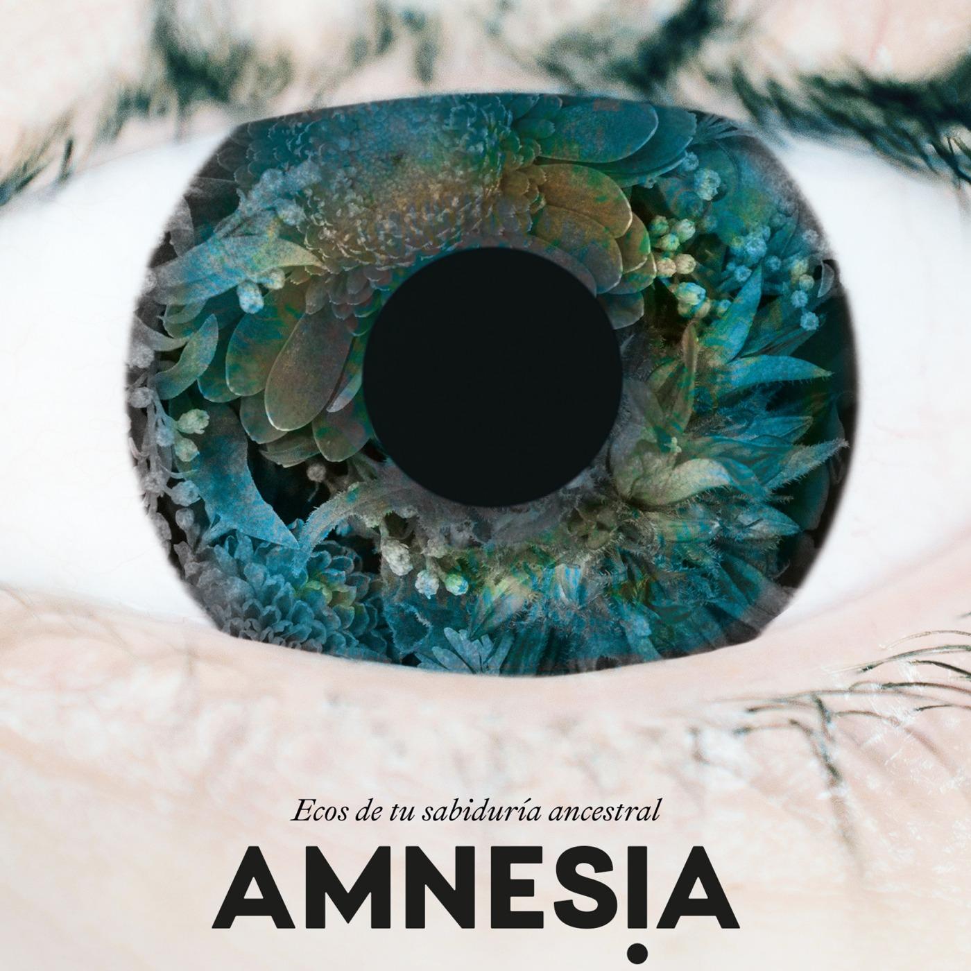 ANMNESIA