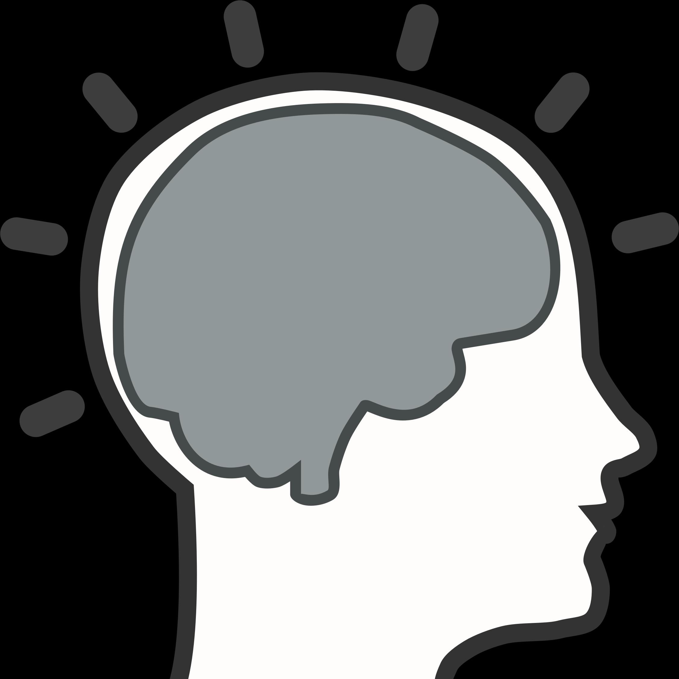 Incoming Neurotransmission