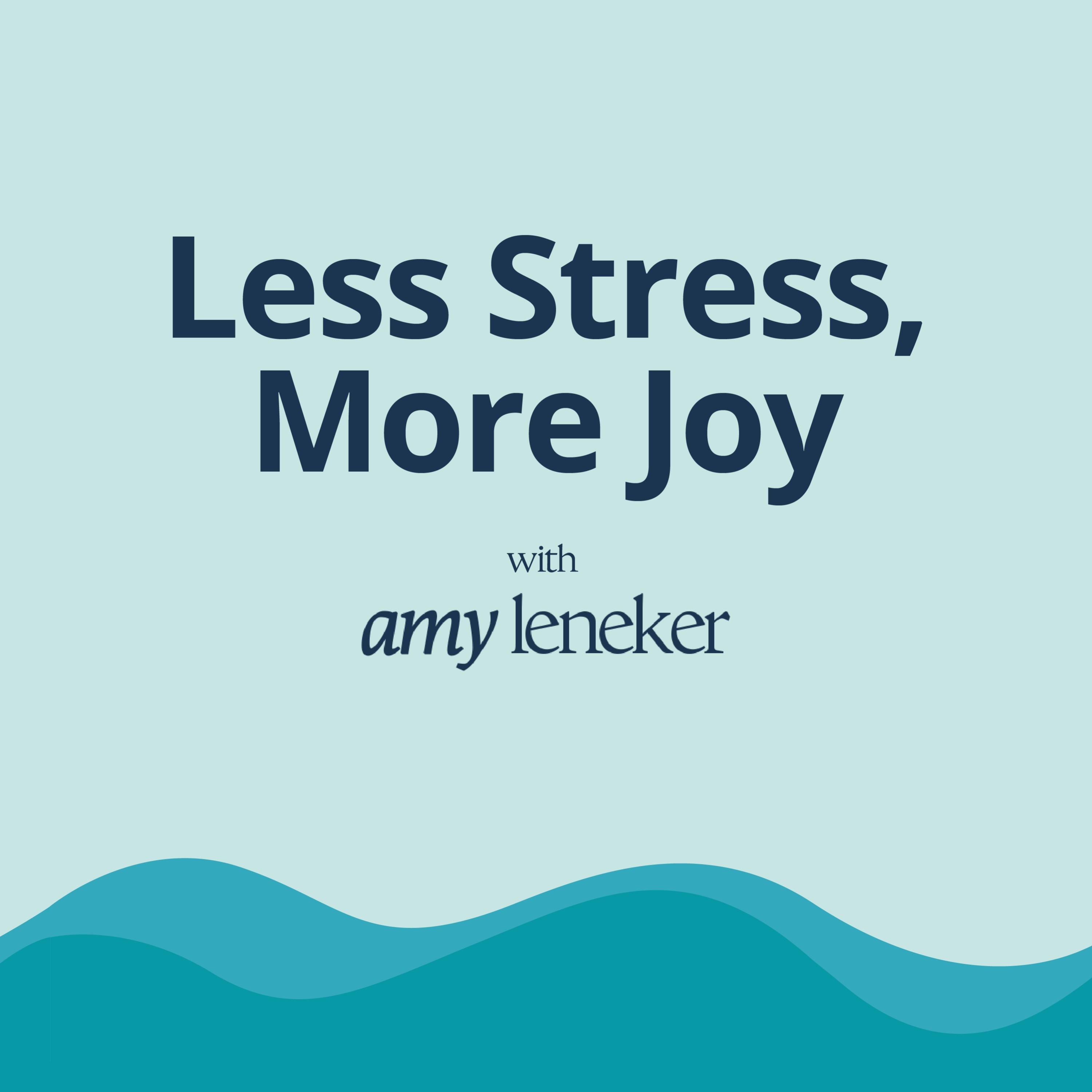 Less Stress, More Joy with Amy Leneker