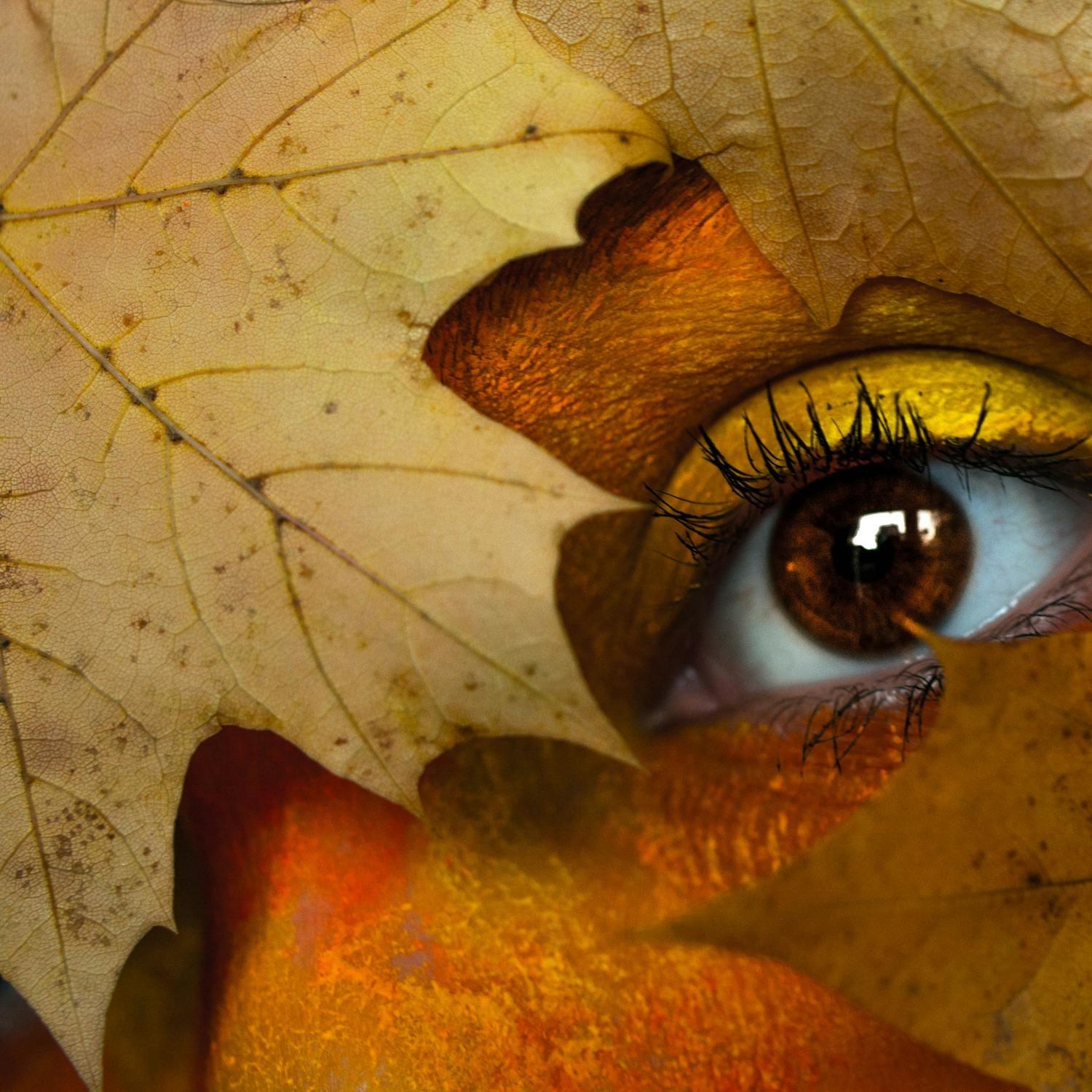 Through Kay's Eyes