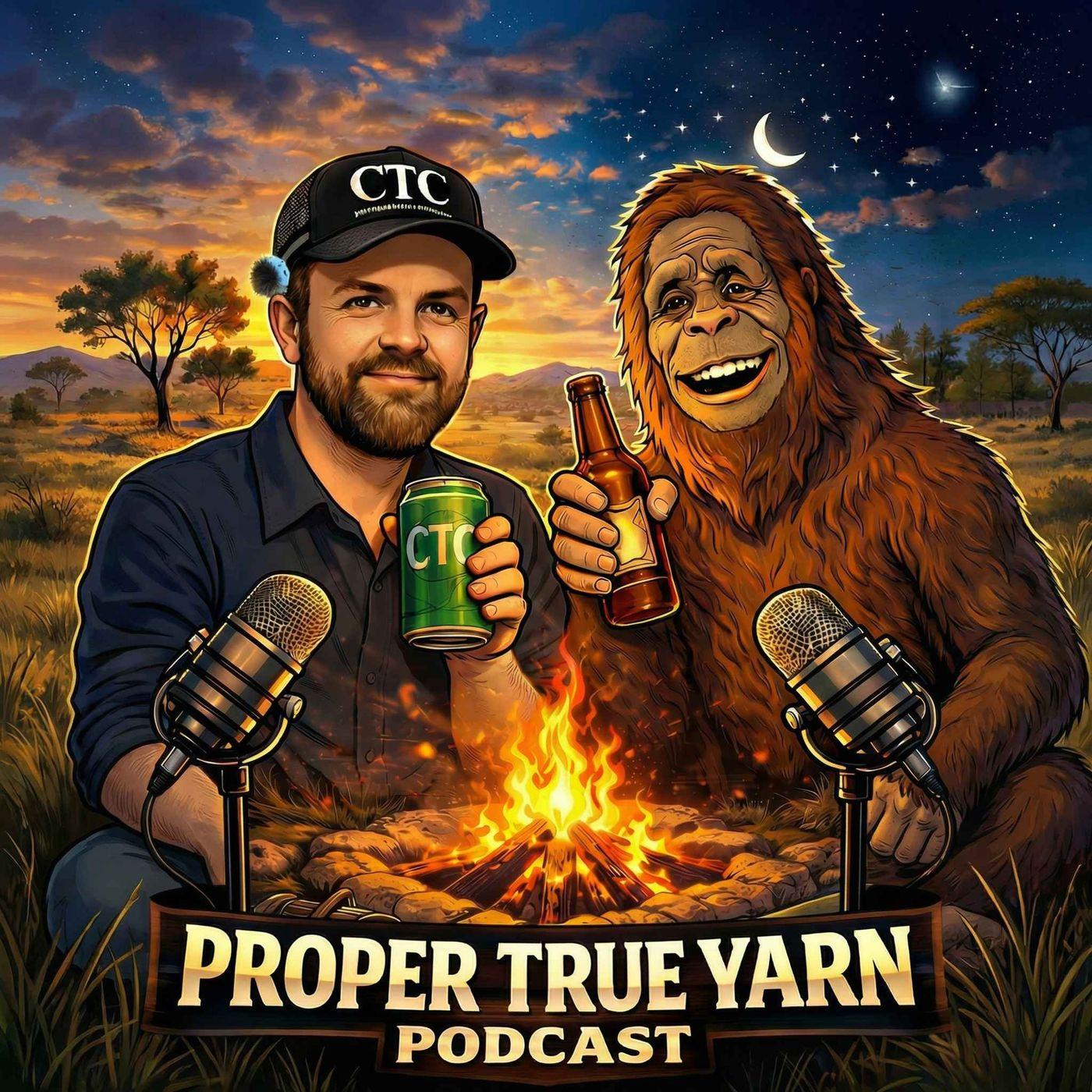 Proper True Yarn