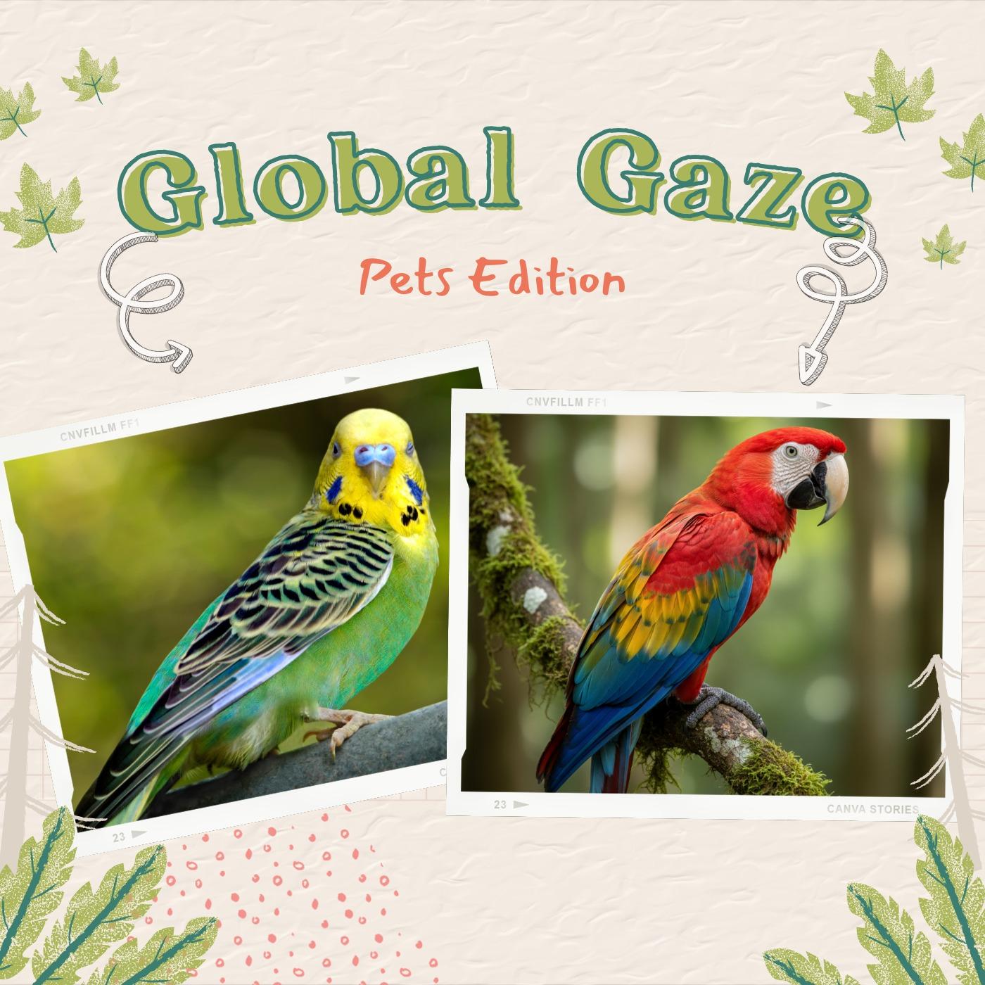Global Gaze: Pets Edition (Part 2)