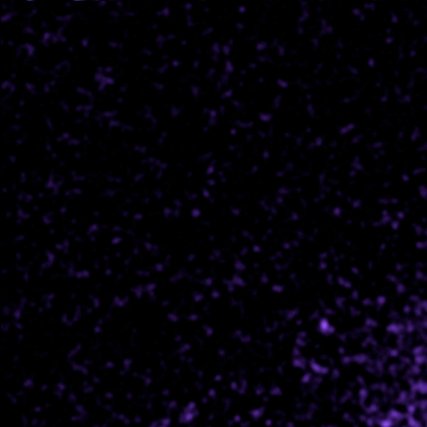 test1356
