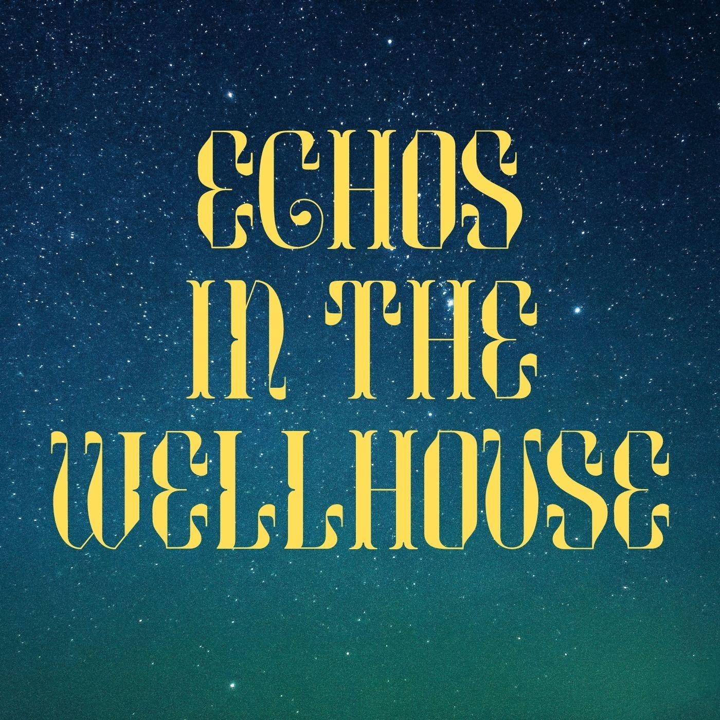 Echos in the Wellhouse