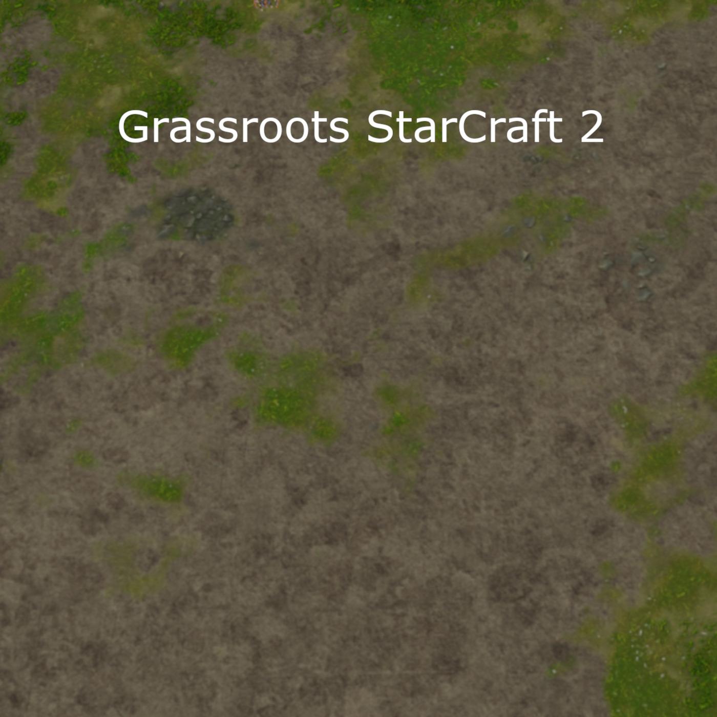 Grassroots StarCraft 2