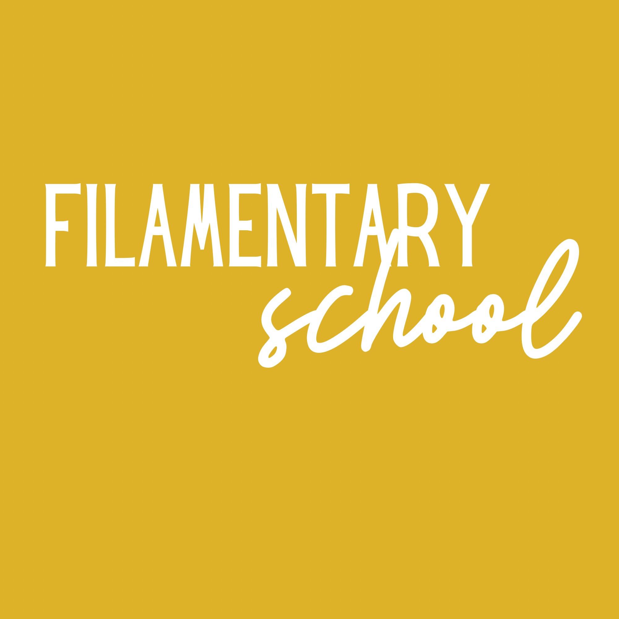 Filamentary School